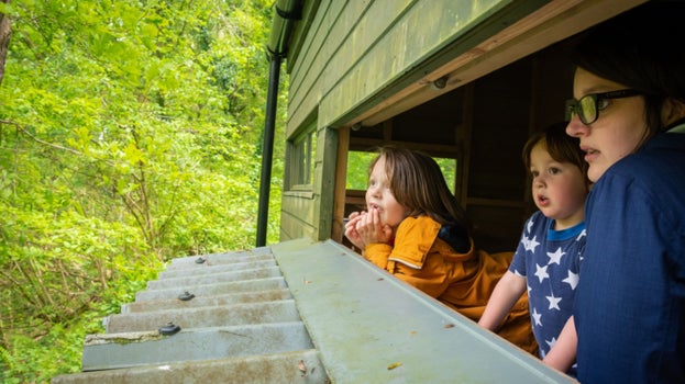 A family watching the birds from the bird hide at Lydford Gorge, Devon